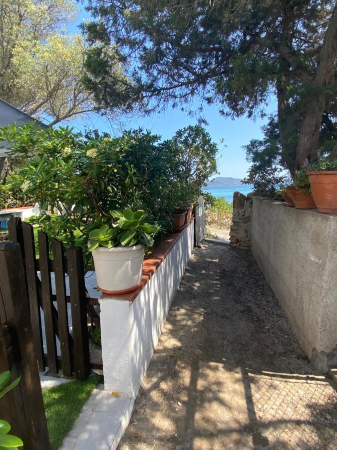 Вилла La Casa Sull'Acqua Ольбия Экстерьер фото